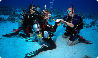 Isle of Wight Scuba Diving and training courses